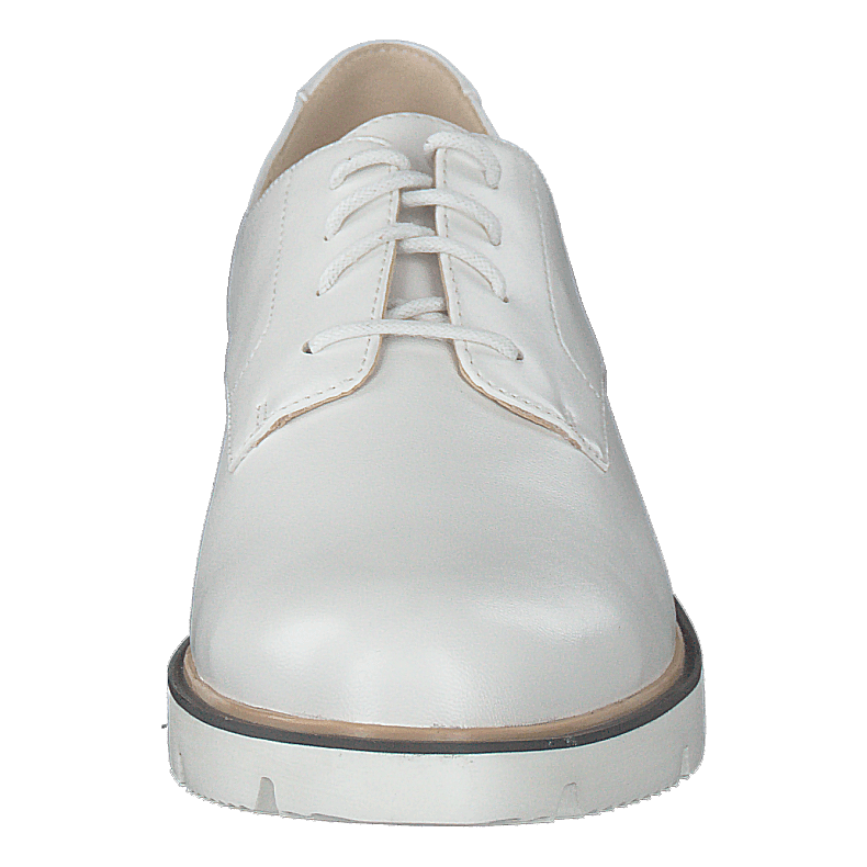 Bita Derby Laced Up Shoe 800 - White