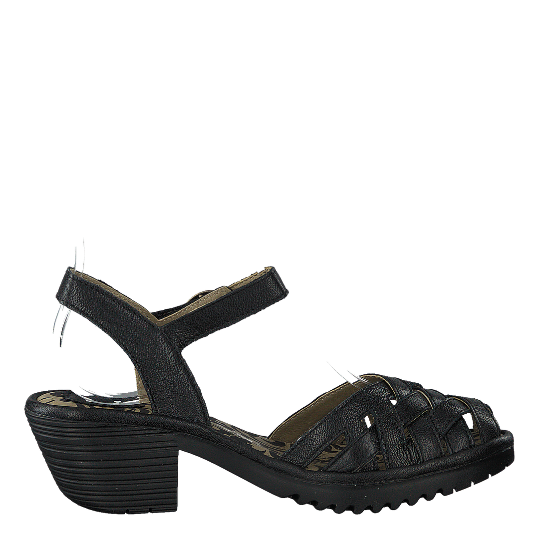 Wuzy001fly Copido Black