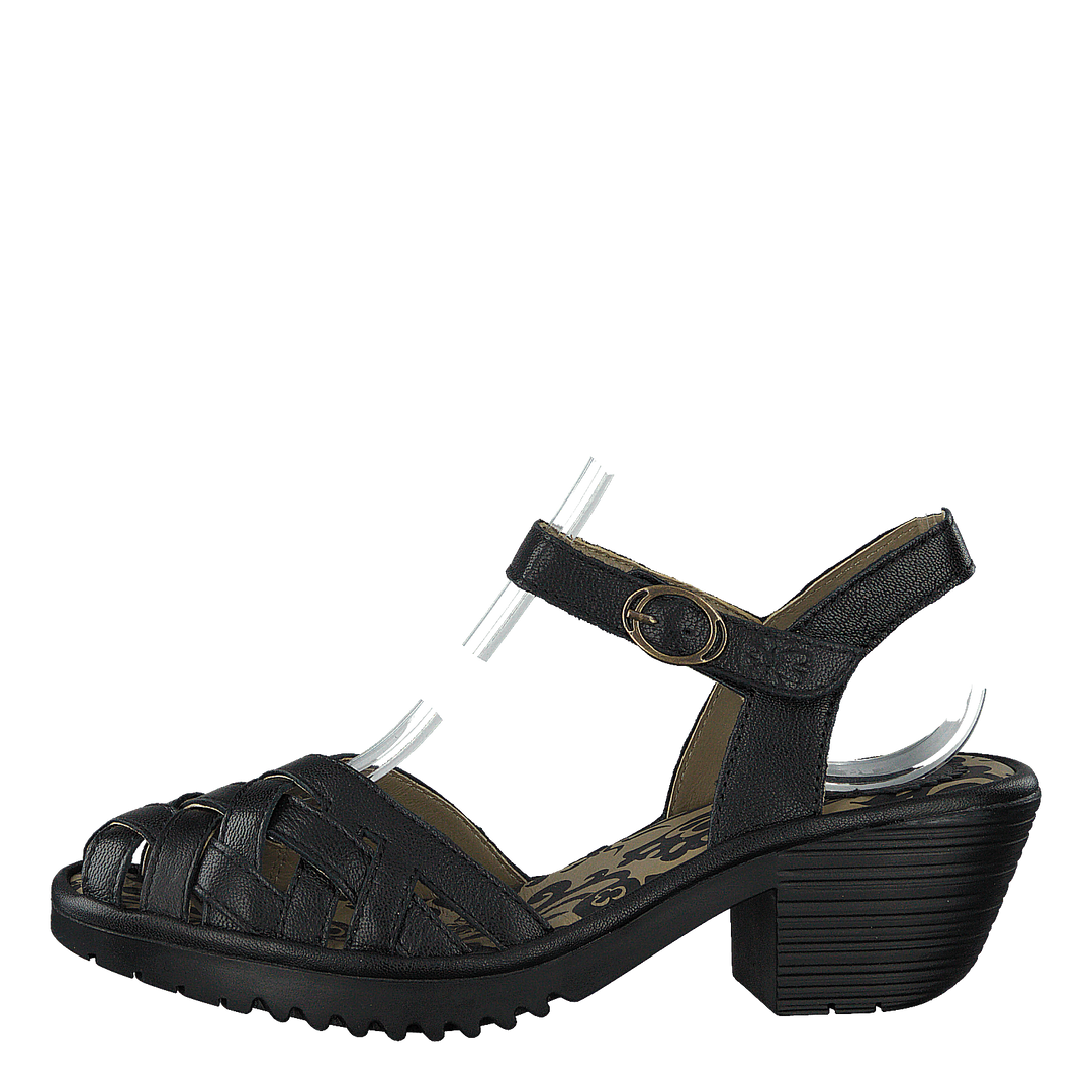 Wuzy001fly Copido Black