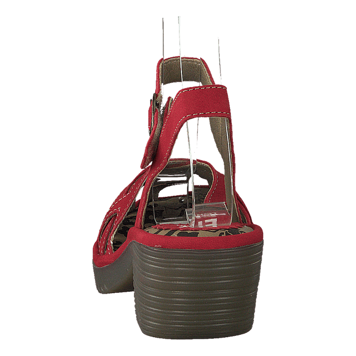 Wuzy001fly Copido Red