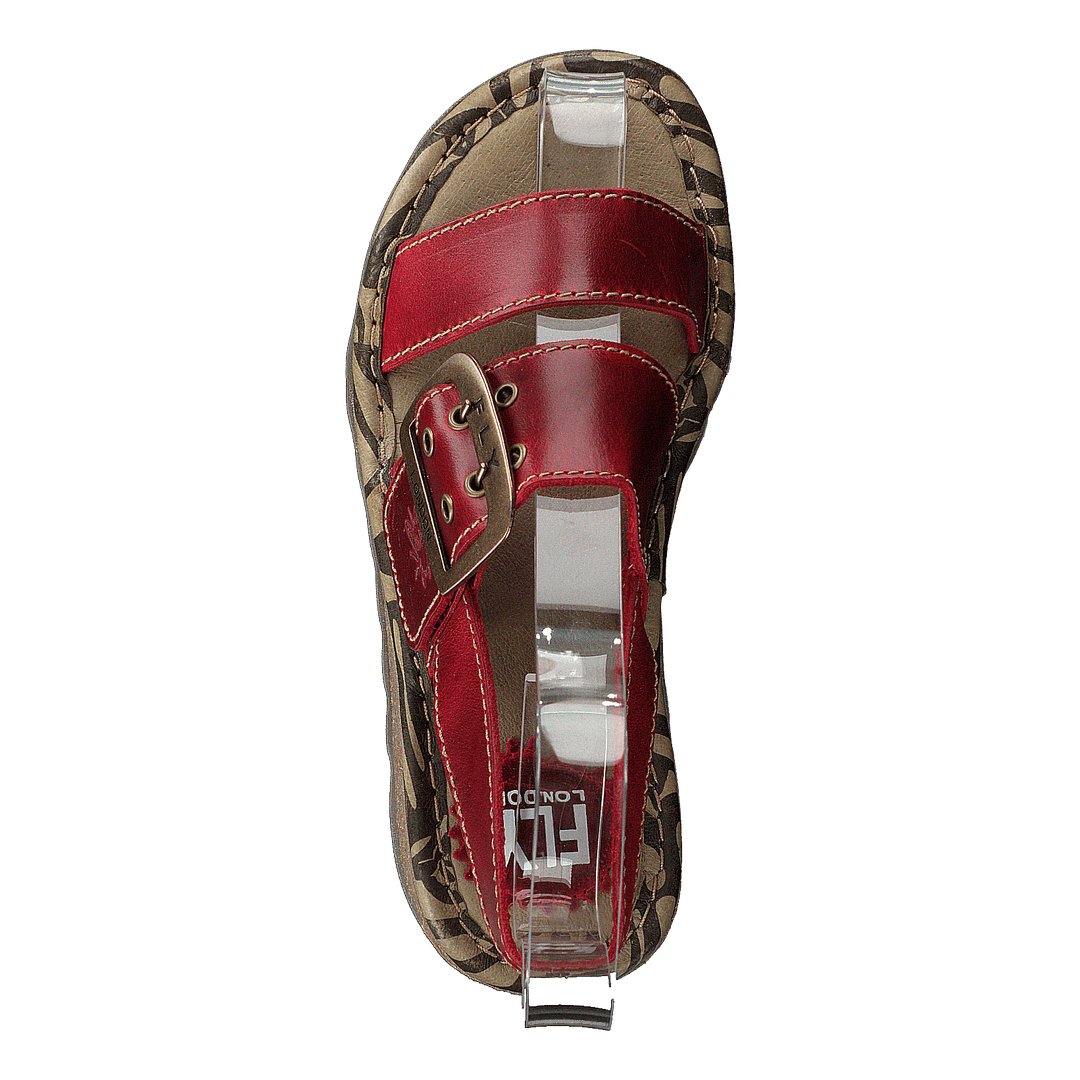 Tapi K Bridle Red