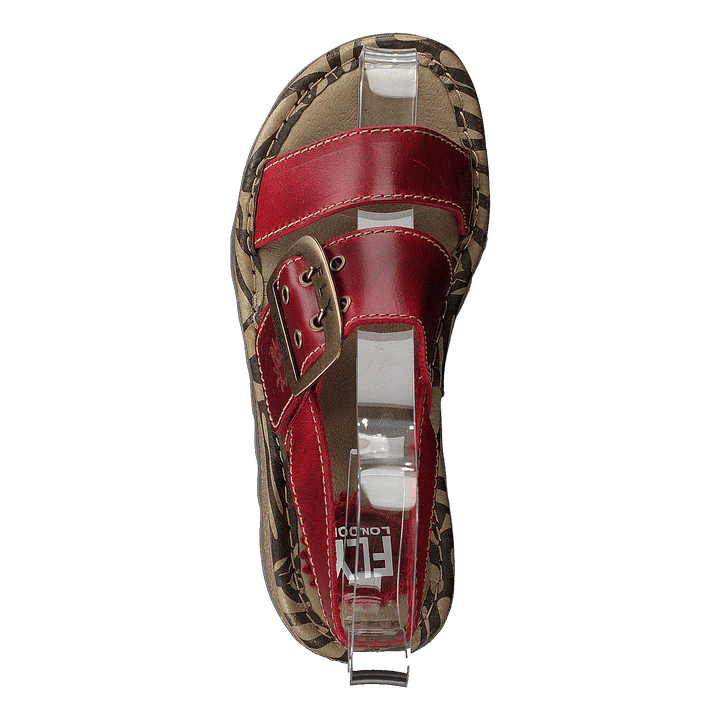 Tapi K Bridle Red