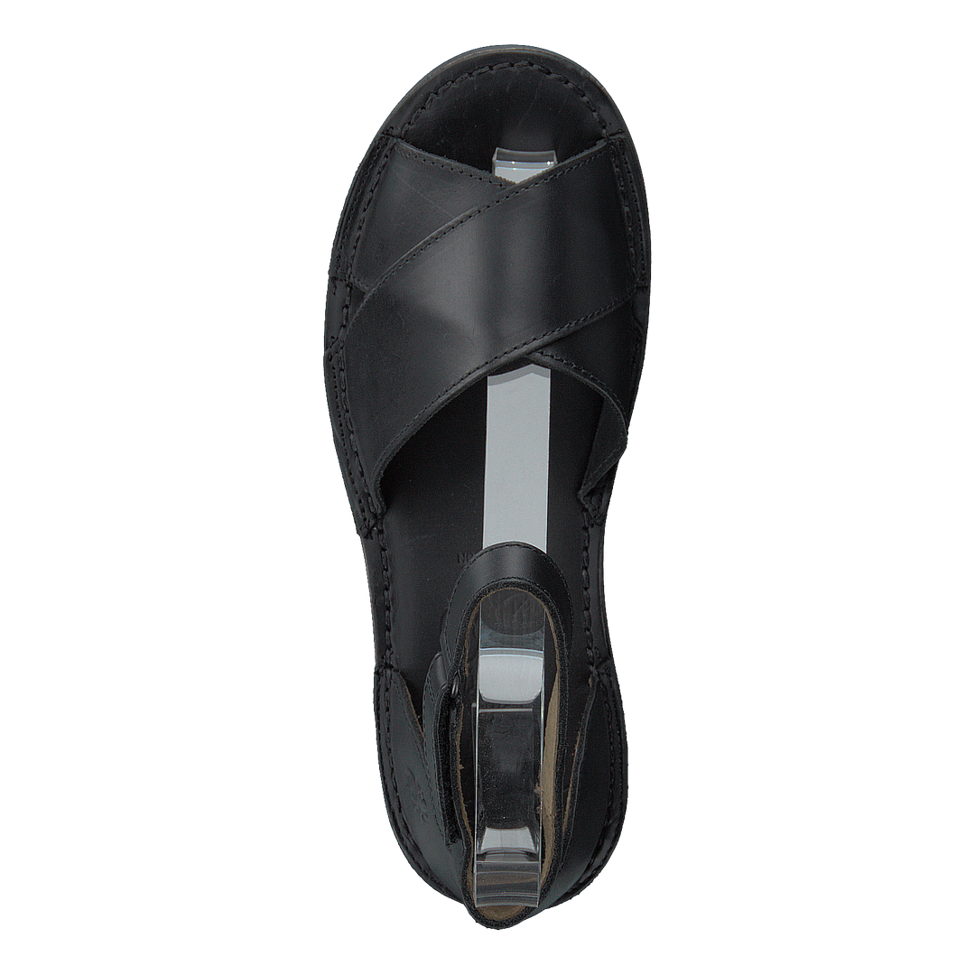 Fiol475fly Bridle Black/black