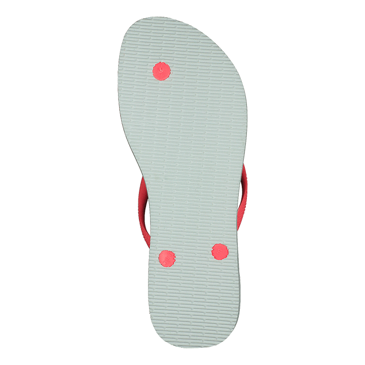 Slim Animals White / Coral New 6577