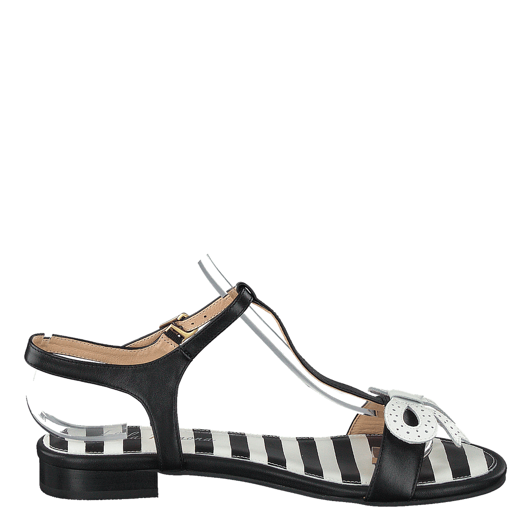 Penny Black/white