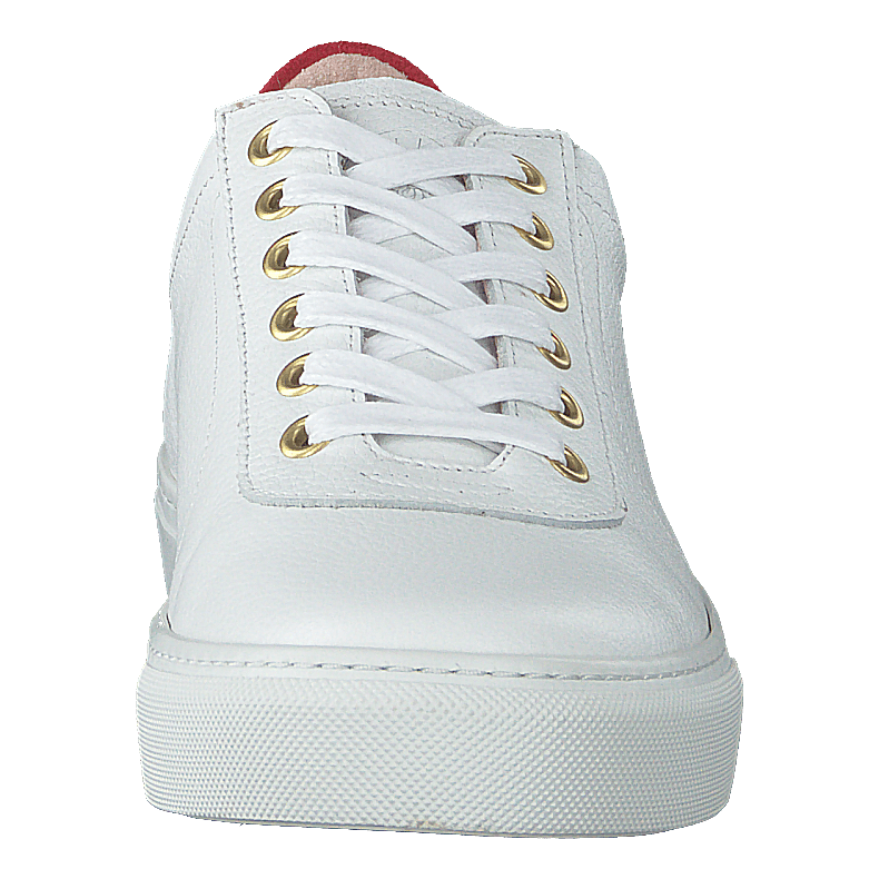 Sun White
