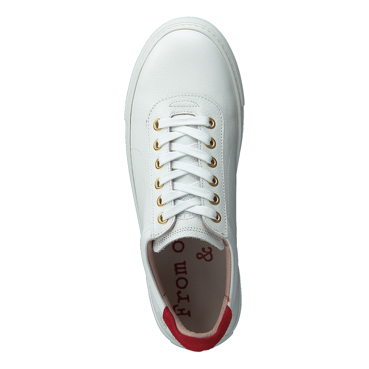 Sun White