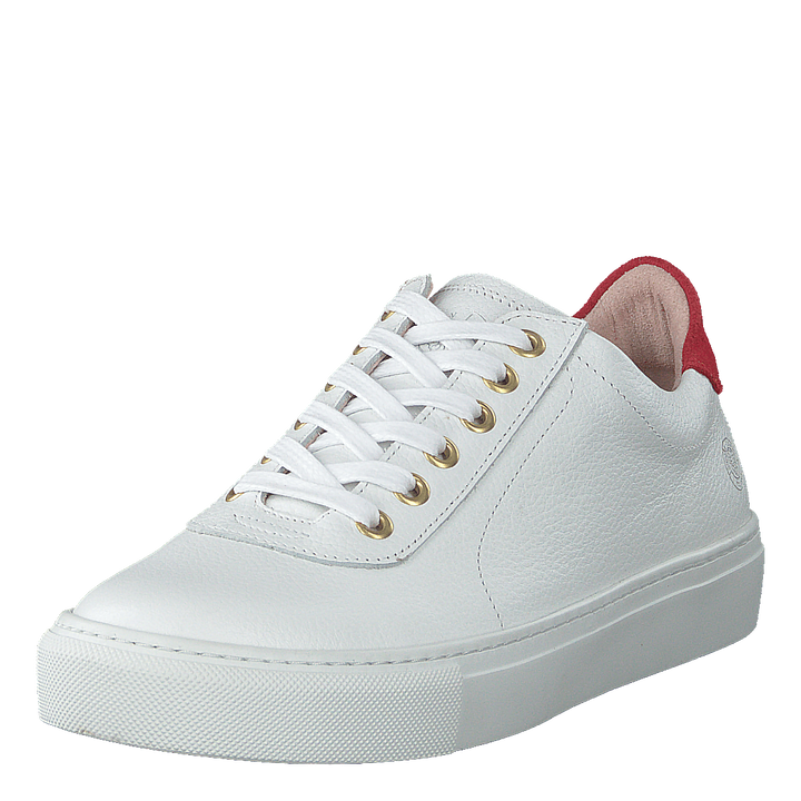 Sun White
