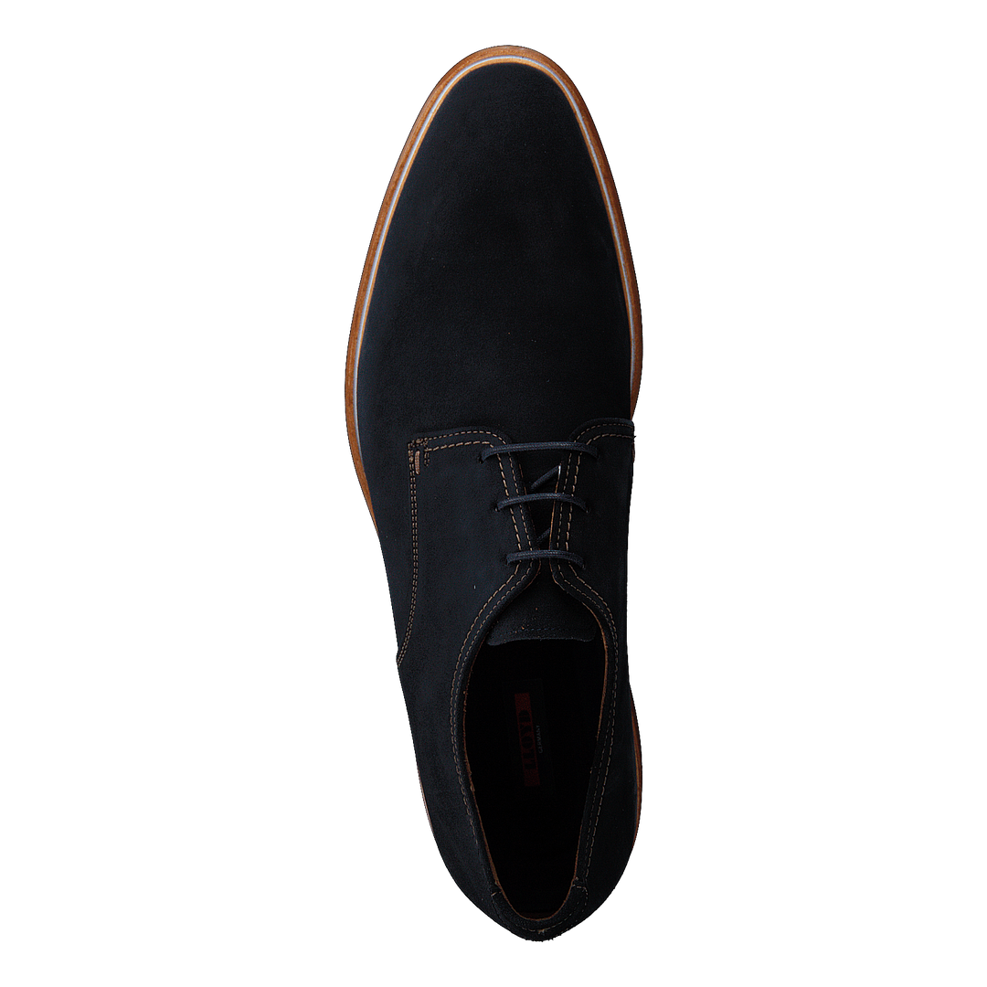 Gama Ocean