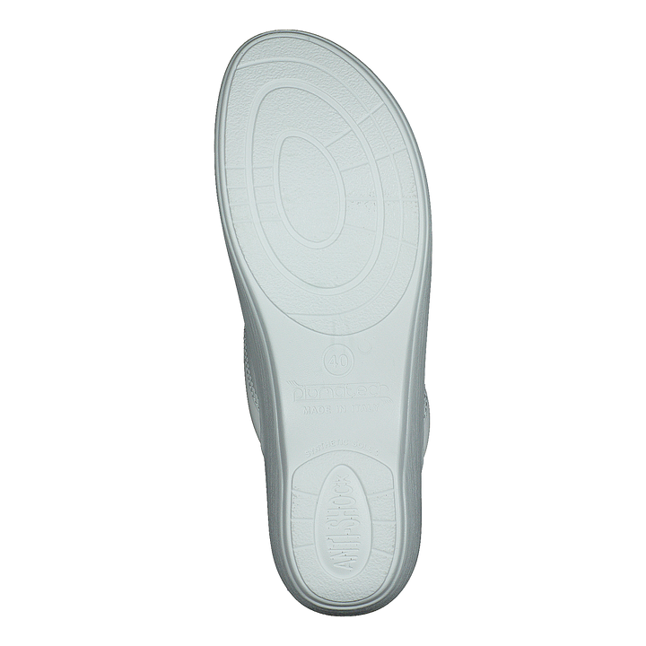 484-0523 White