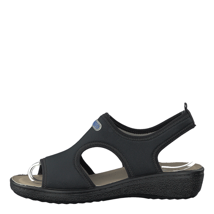 484-5538 Black