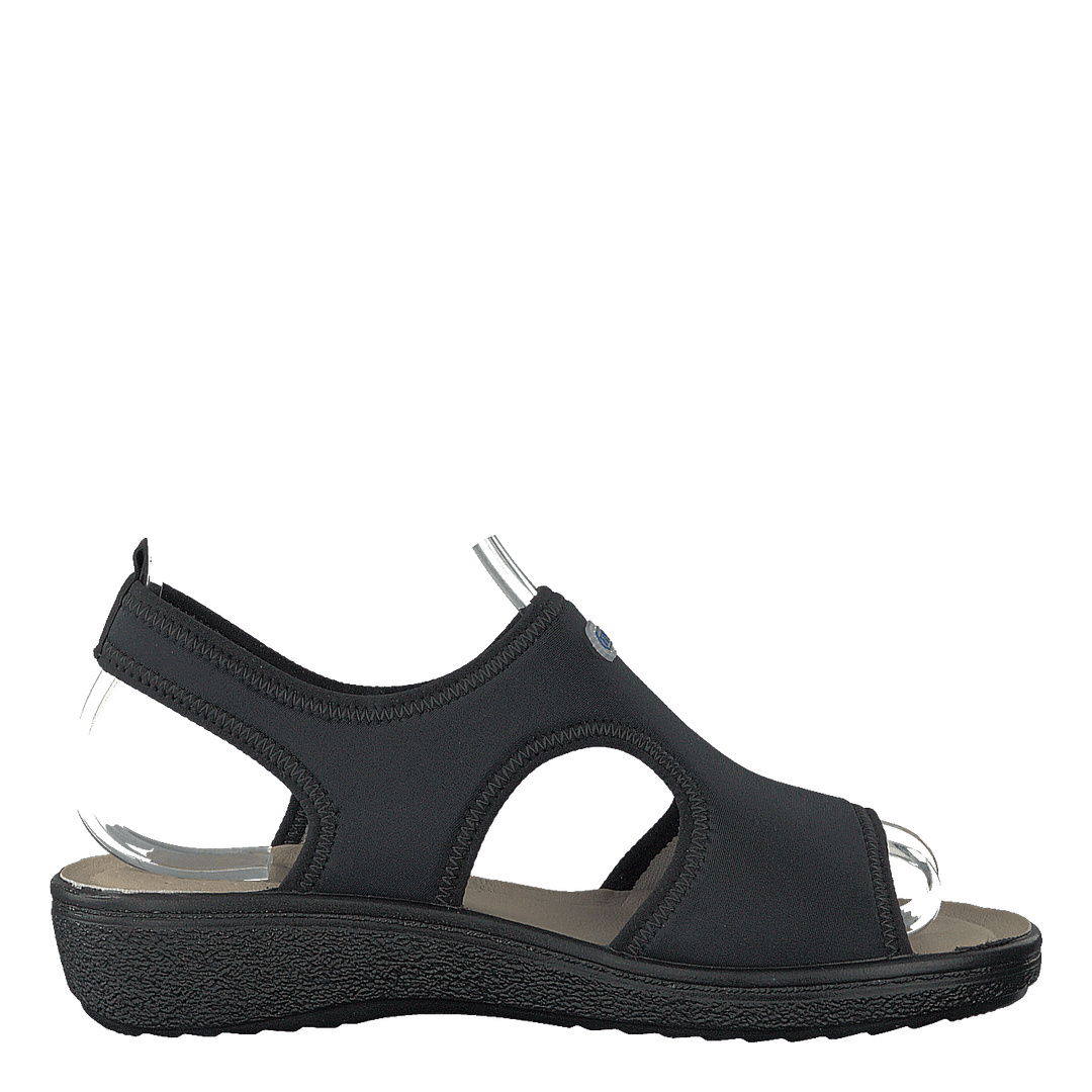 484-5538 Black