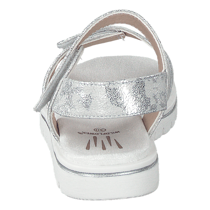 Desi Silver