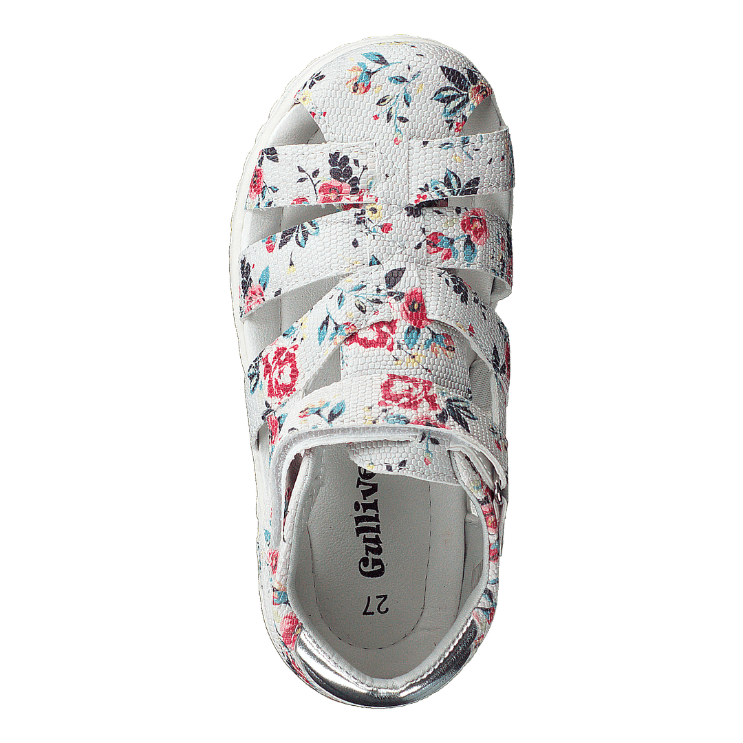 423-6038 White Multi