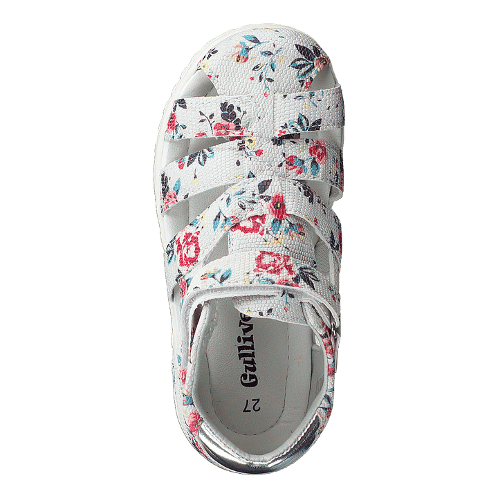 423-6038 White Multi