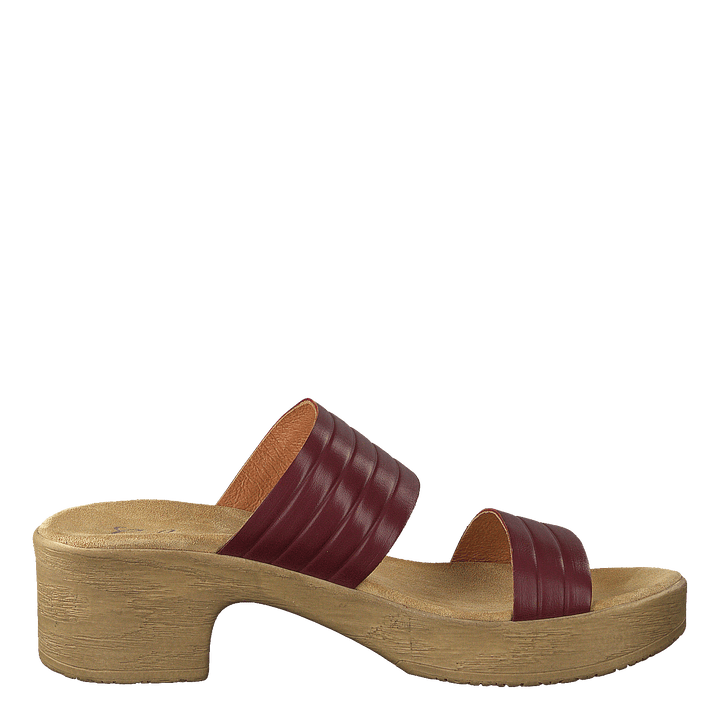 Randi Winered