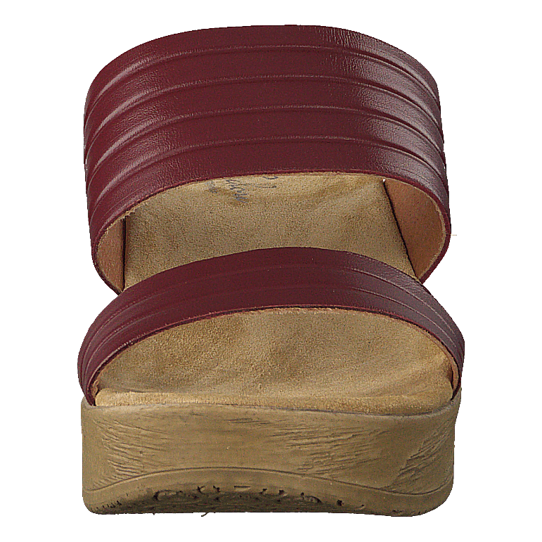 Randi Winered