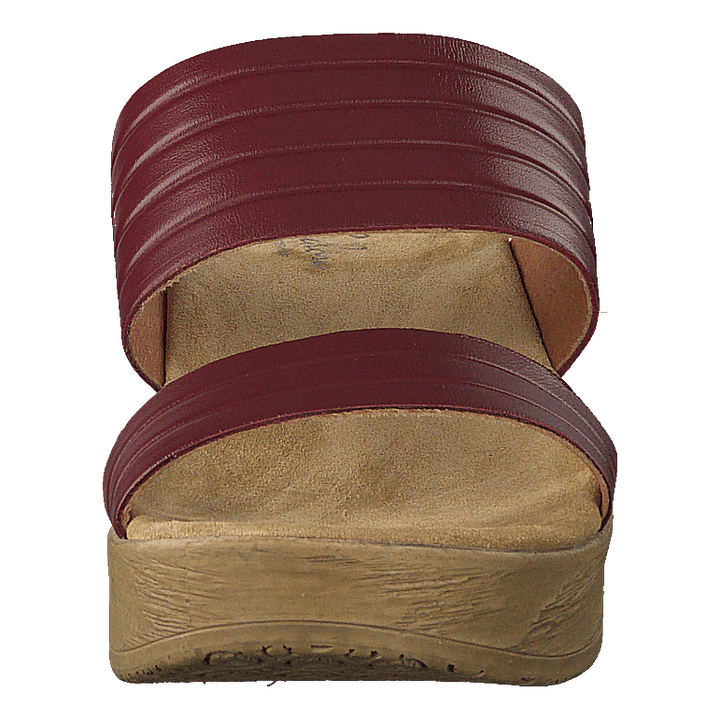 Randi Winered