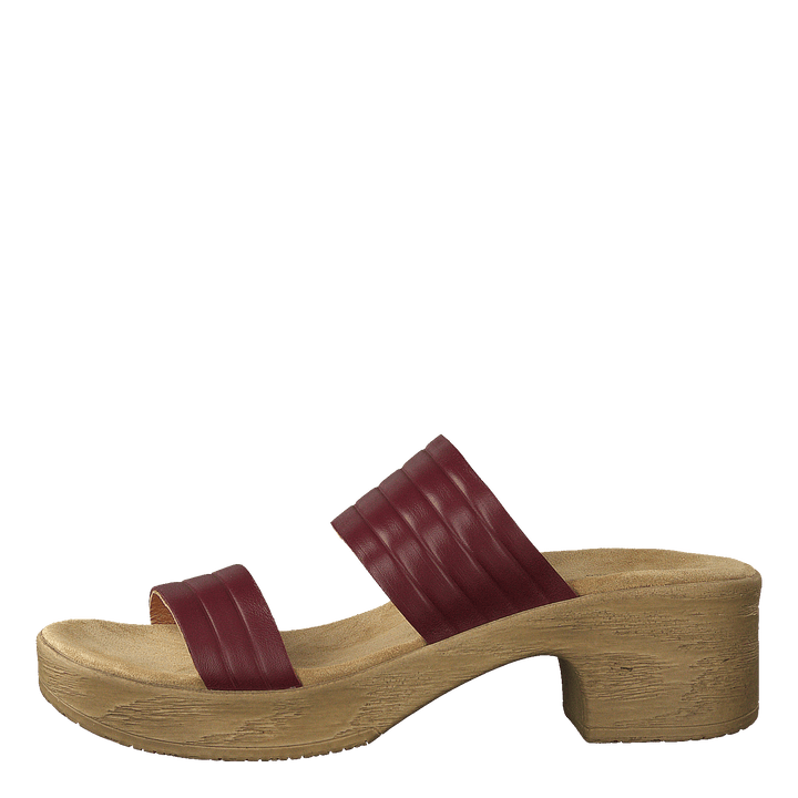 Randi Winered