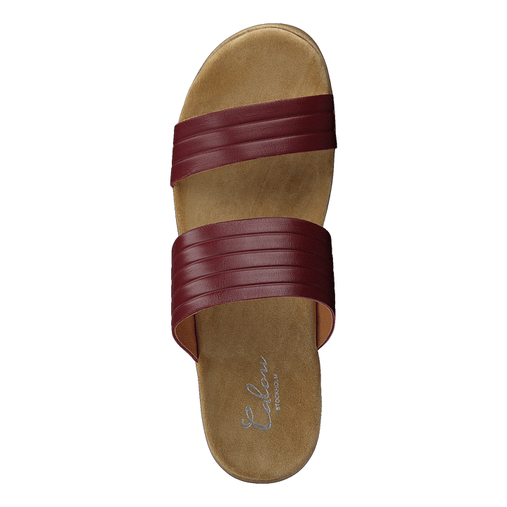 Randi Winered