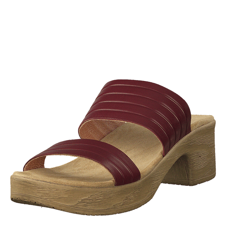 Randi Winered