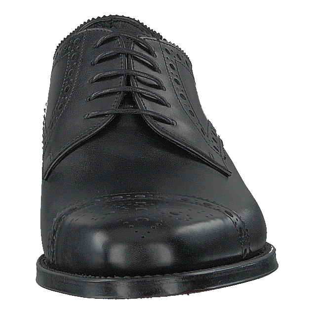 Derwent Black Calf