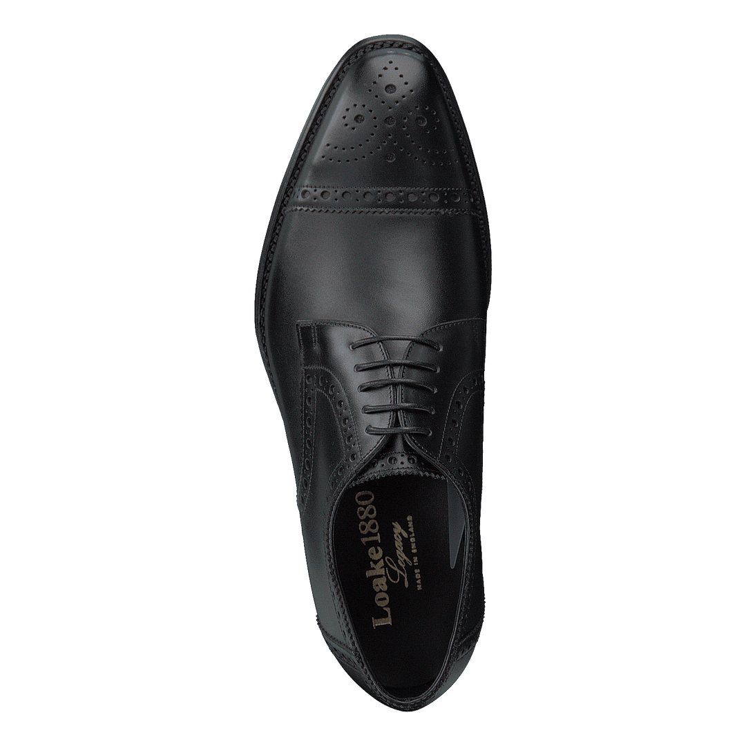 Derwent Black Calf