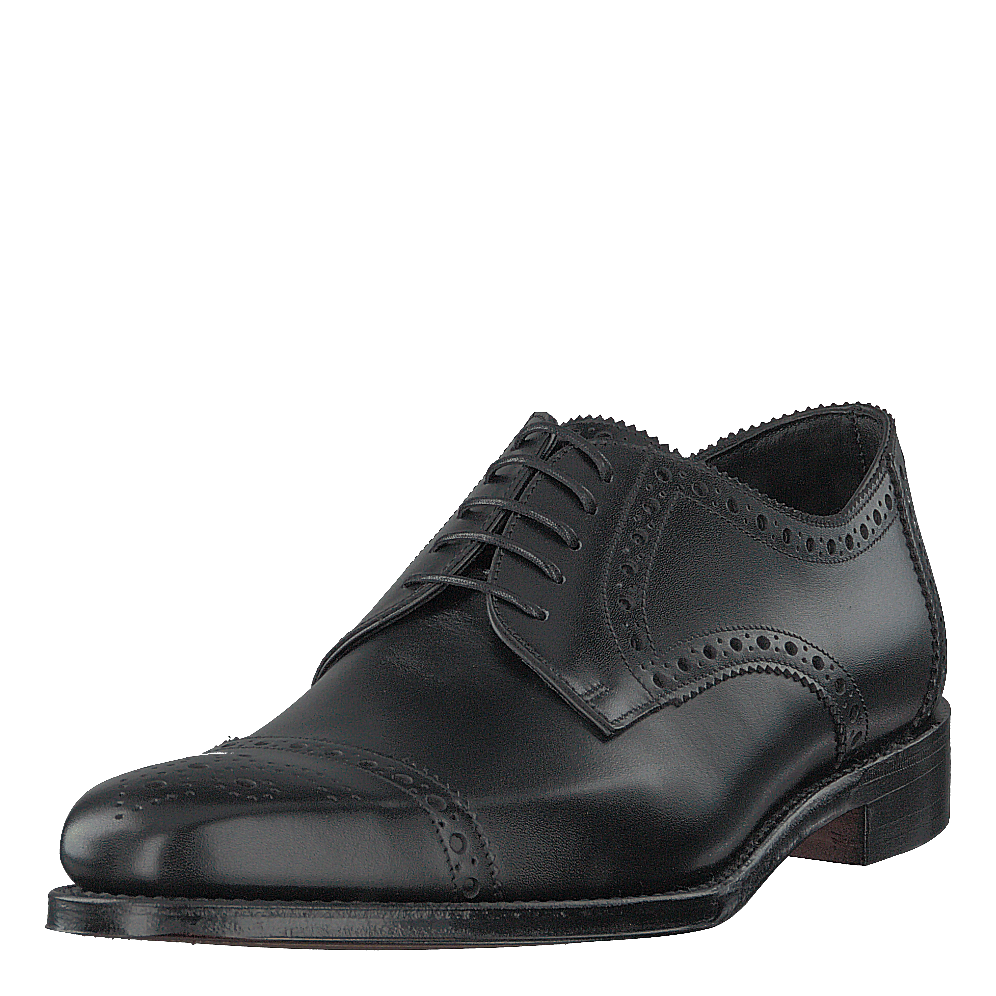 Derwent Black Calf