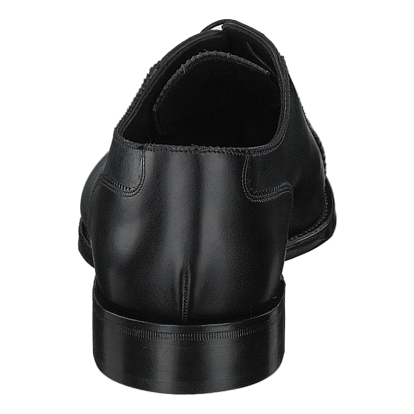 Evans Black