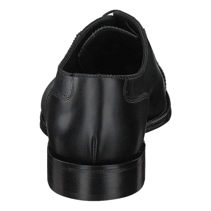 Evans Black