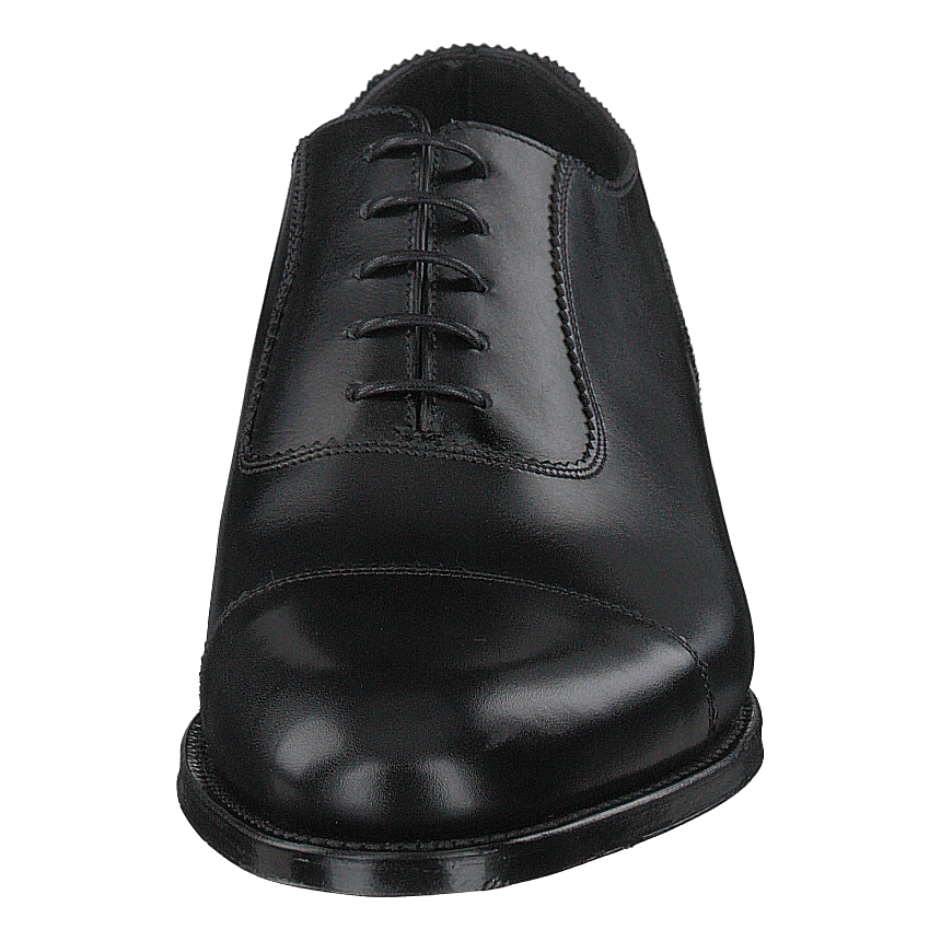 Evans Black
