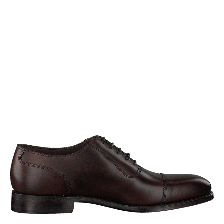 Evans Dark Brown