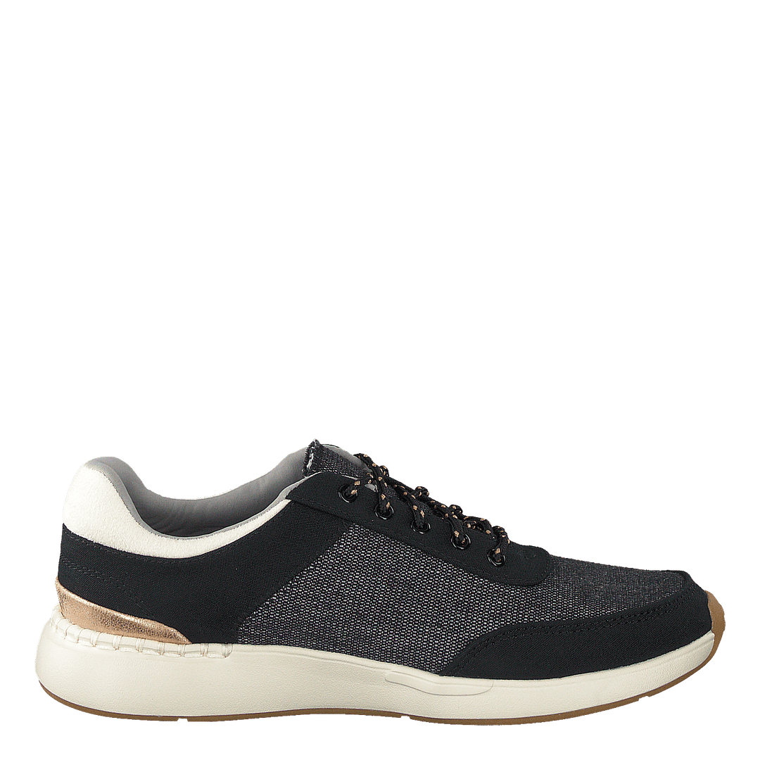 Black Canvas Black