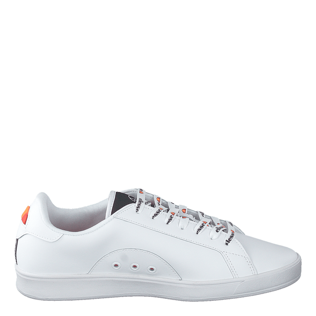 Campo White