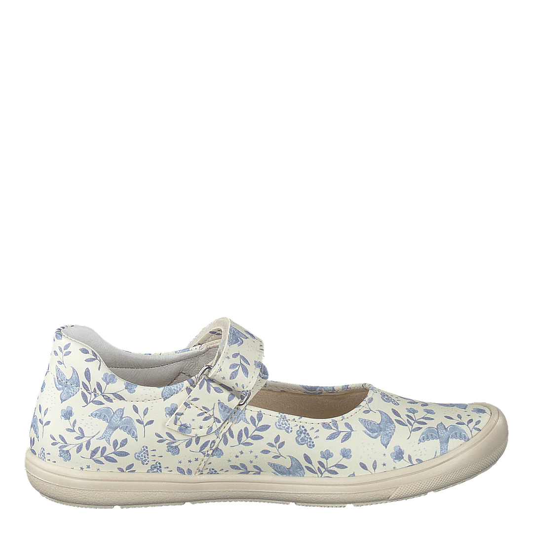 Ammenäs Xc Blue Flower