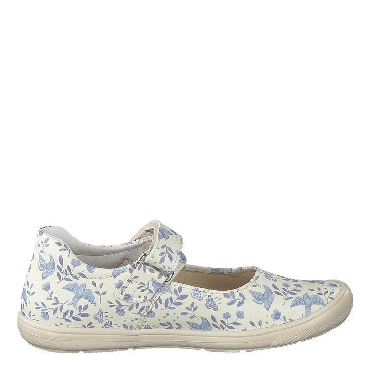 Ammenäs Xc Blue Flower