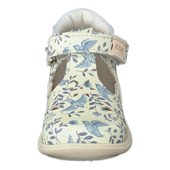 Ängskär Xc Blue Flower