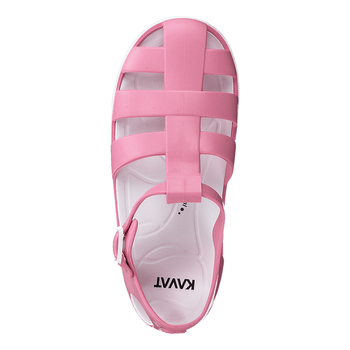 Sand Wp Strawberry Rose
