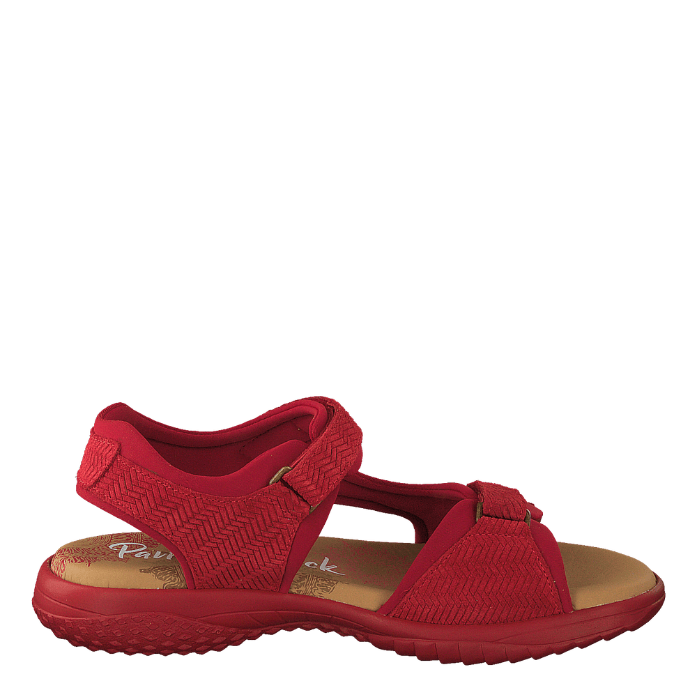 Nilo Menorca Velour Rojo/red - Heppo.com