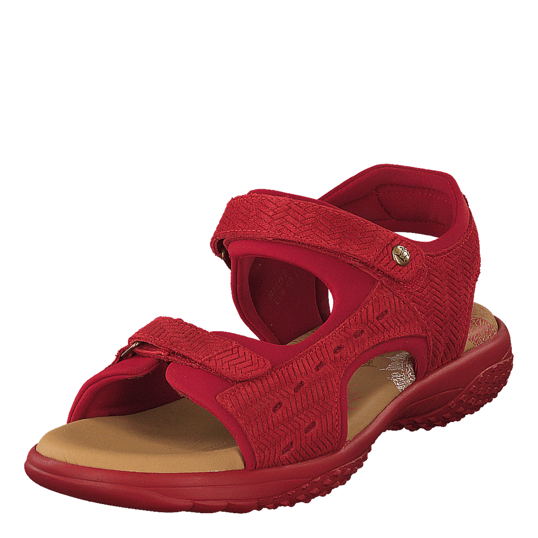 Nilo Menorca Velour Rojo/red - Heppo.com