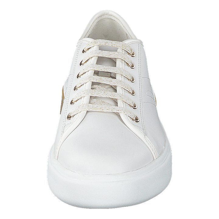 D Ottaya White