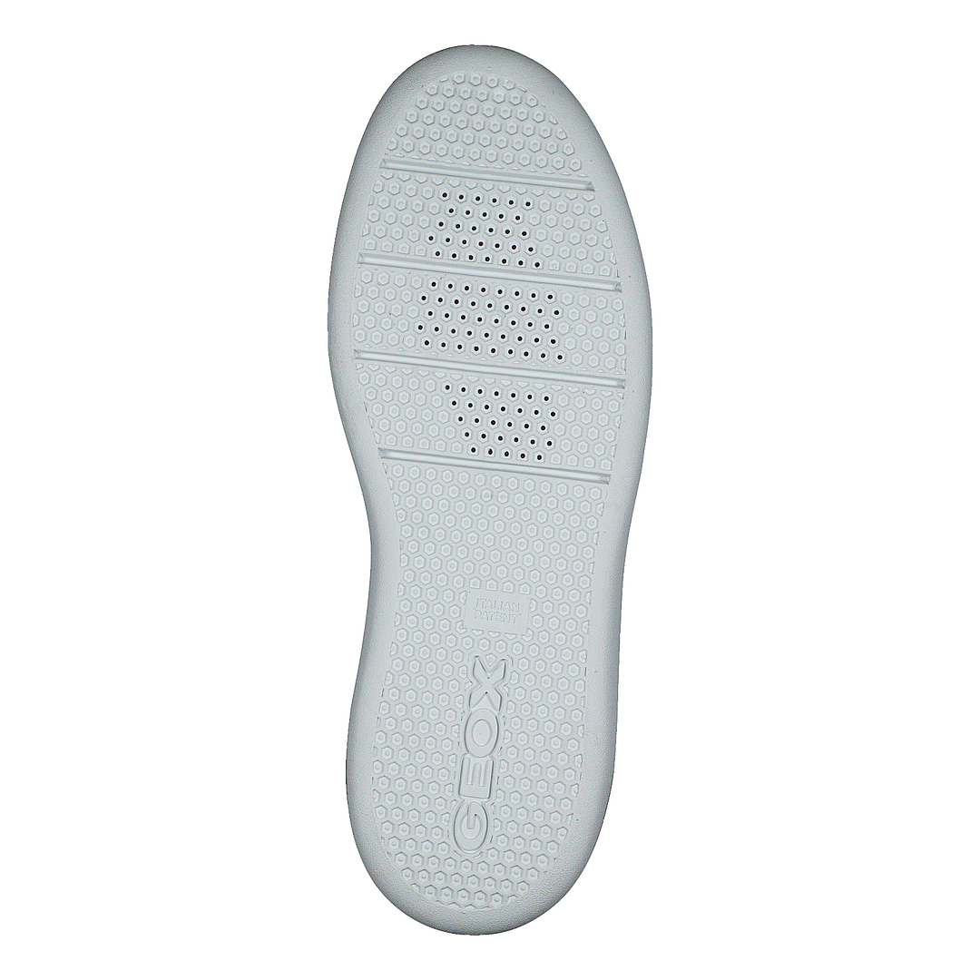 D Ottaya White