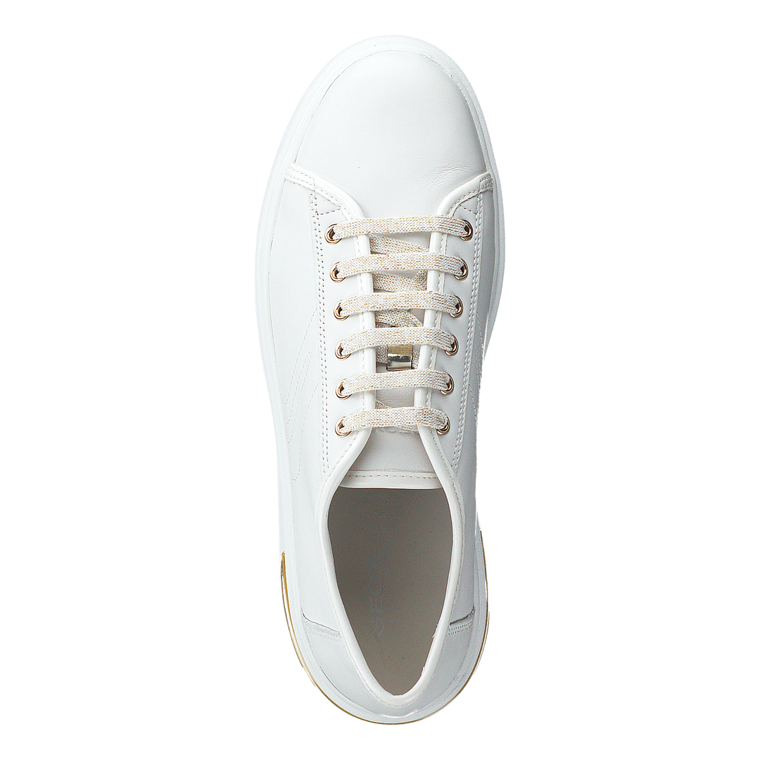 D Ottaya White