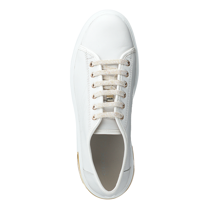 D Ottaya White