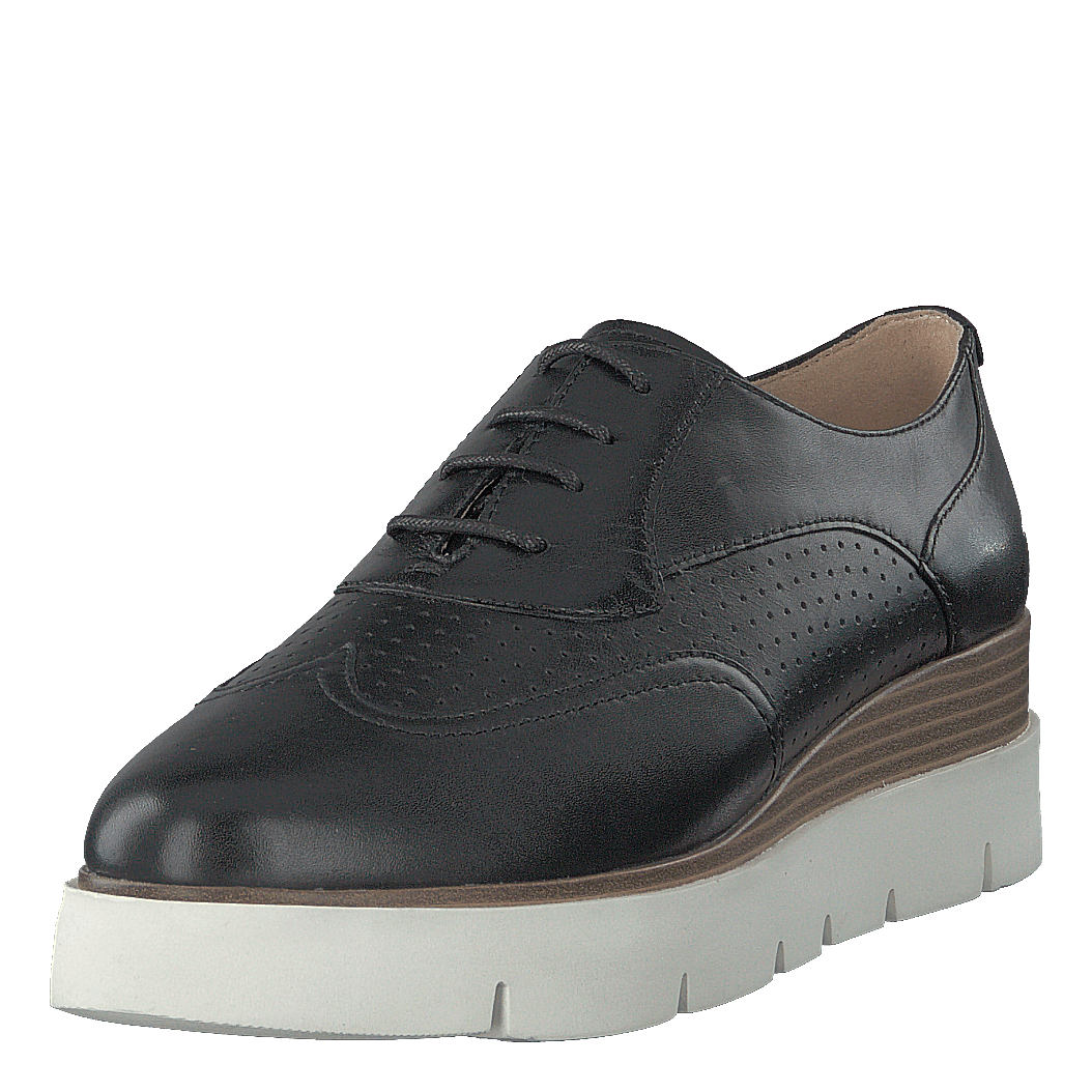 D Kattilou Black