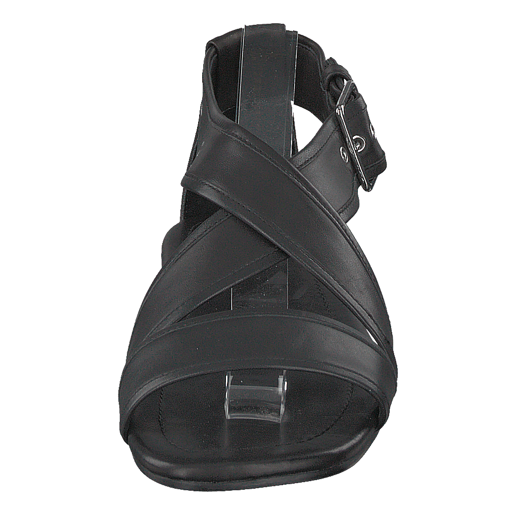Sorbil Black