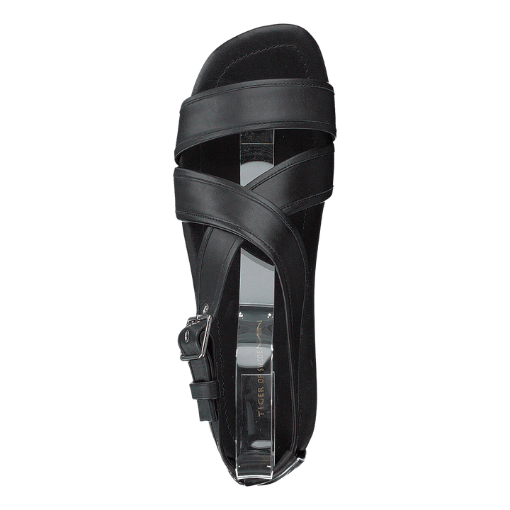 Sorbil Black