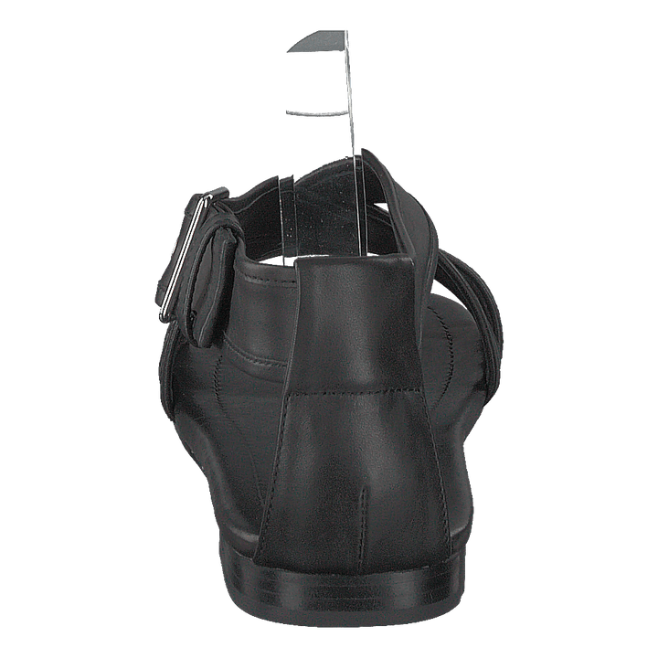 Sorbil Black