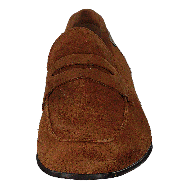 Evans Camel