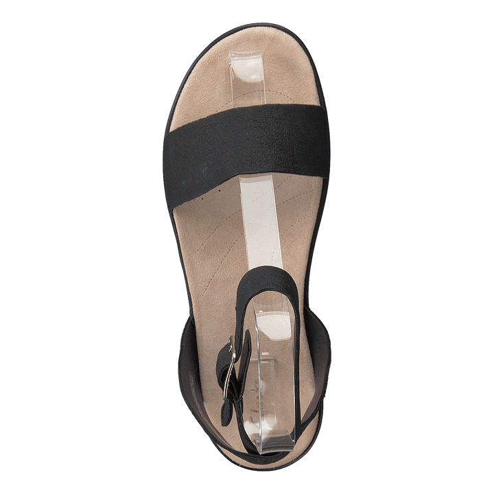 Botanic Ivy Black Leather
